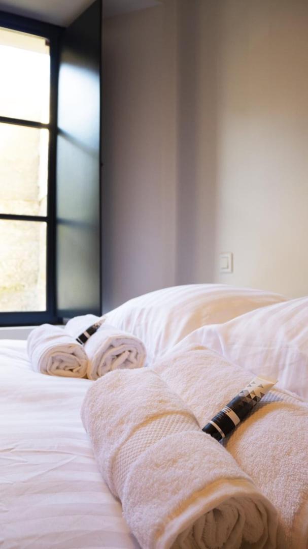 Le Celeste: Hypercentre, Quiet And Parking Appartement Poitiers
